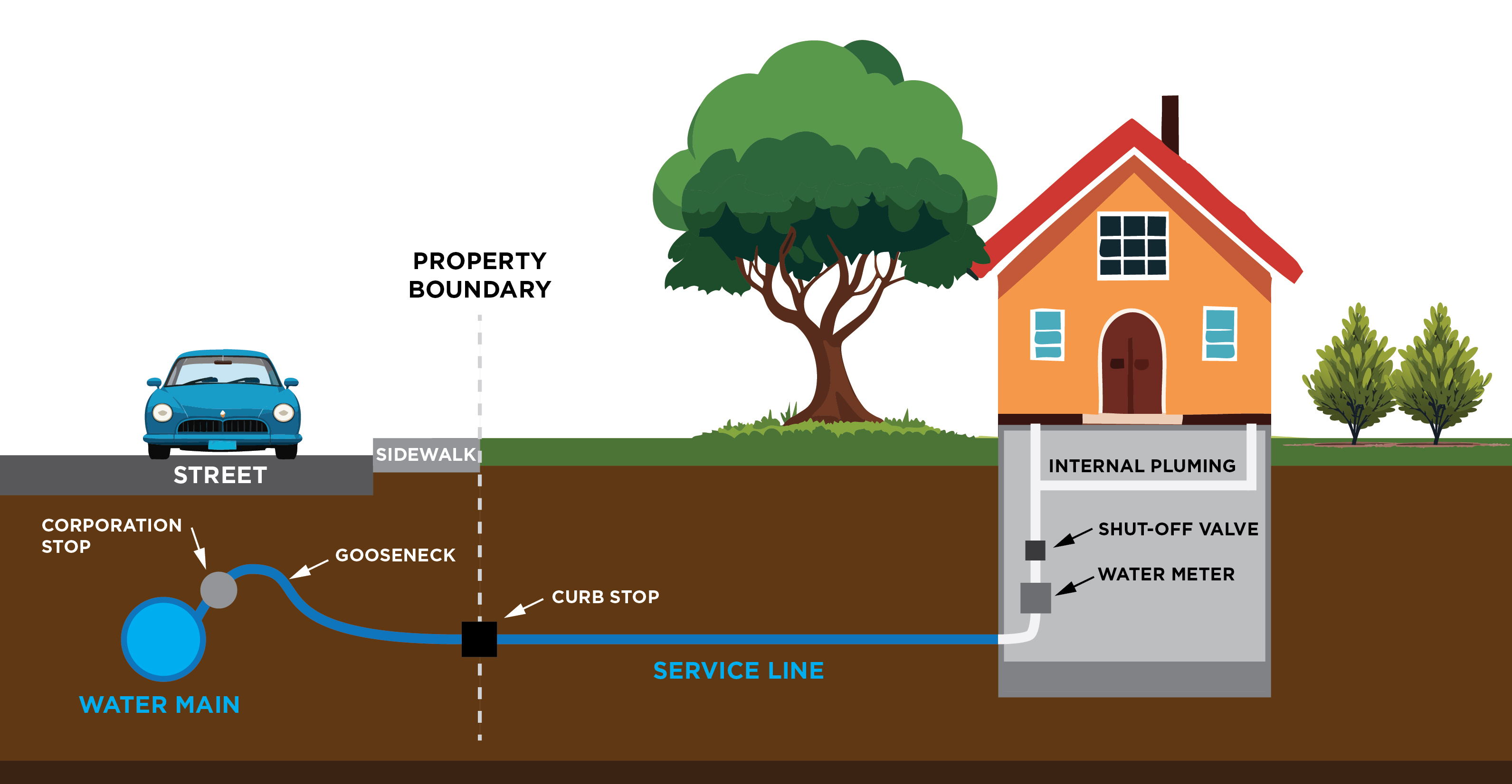 A visual showing the location of a typical water service line that would need to be replaced.